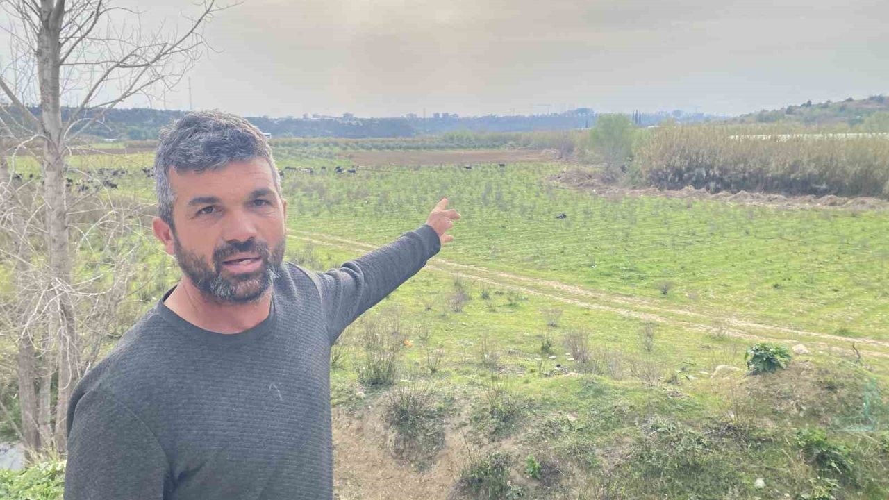 Keçilerini otlatan çobana silahlı saldırı: 1 keçi telef, 1 keçi yaralı