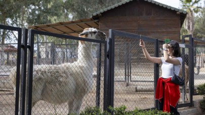 Tarsus Doğa Parkı bayramda 17 bin ziyaretçi ağırladı