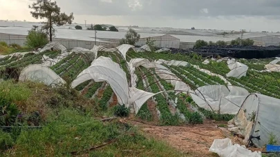 Mersin'de fırtına etkili oldu, seralar zarar gördü