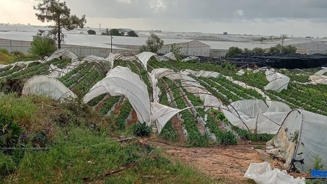 Mersin'de fırtına etkili oldu, seralar zarar gördü