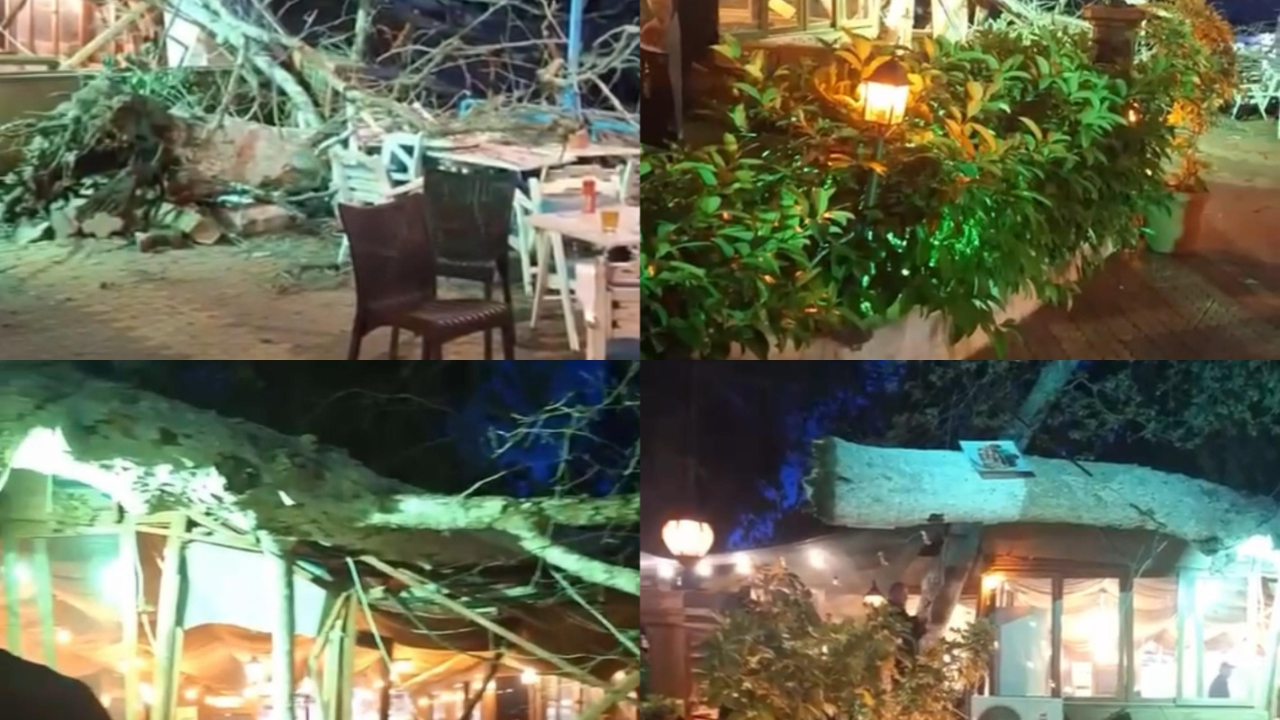 Mersin'in Tarsus ilçesinde bir tesisteki devasa ağacın yıkılması sonucu 2 kişi hafif yaralandı.