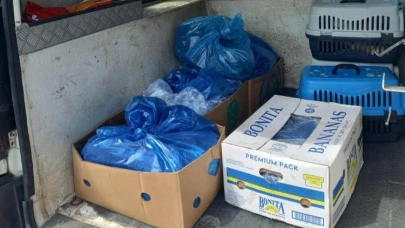 Vicdansızlar Alanya’da 85 kilo kokmuş balıksatacakları