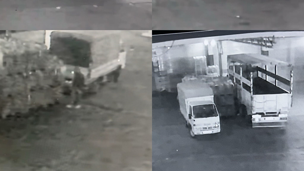 Mersin Yaş Sebze ve Meyve Hali'nde 700 kilograma yakın karpuz çalındı