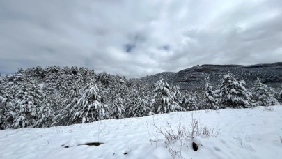 Akseki'nin yükseklerinde kar 20 santimi buldu