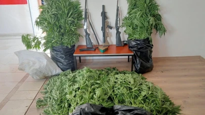 Mersin'de Gizli kenevir bahçesi kuran şüpheli tutuklandı