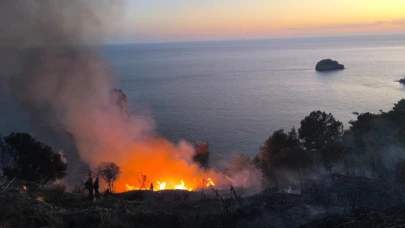 Gazipaşa'da Muz Bahçesinde Çıkan Yangın 5 Saatte Kontrol Altına Alındı