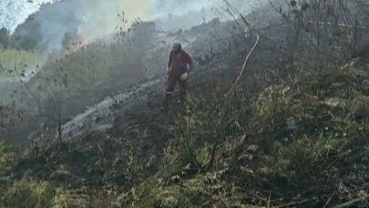Muz bahçesindeki yangın 6 saatte söndürüldü