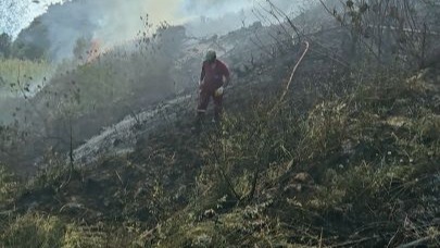 Muz bahçesindeki yangın 6 saatte söndürüldü