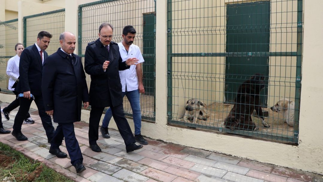 İçişleri Bakanlığı Harekete Geçti