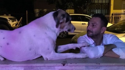 Antalya'da Emekli Polis Memuru Köpeği Öldürdü