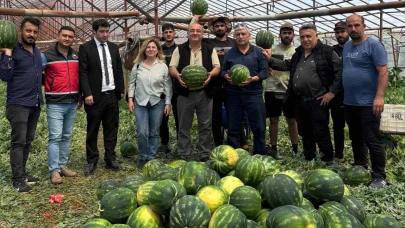 Serik'te 37 Bin Ton Karpuz Üretimi Bekleniyor