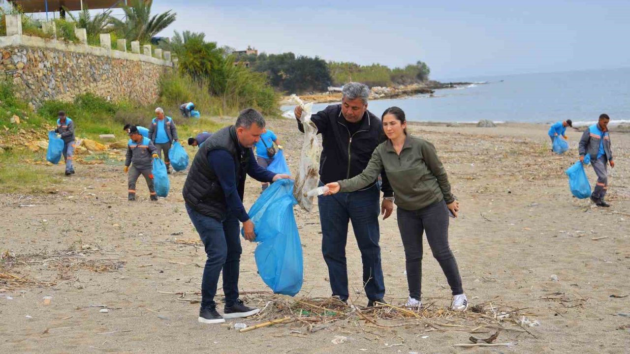 Alanya’da kum zambakları ile caretta carettaların yaşam sahaları temizlendi
