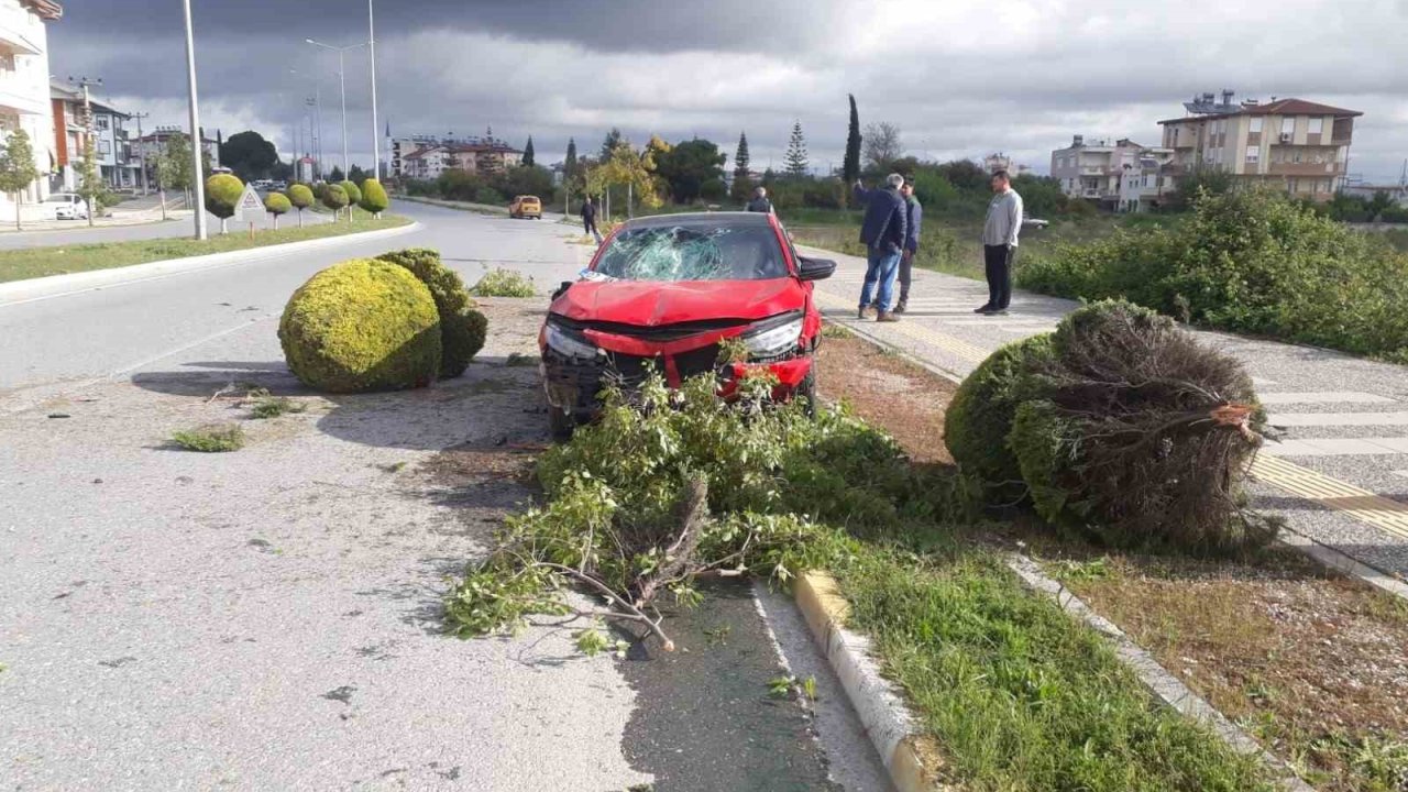 Alkollü sürücü kaldırımdaki ağaçlara çarptı: Devrilen ağaç Rus kadının yaralanmasına neden oldu