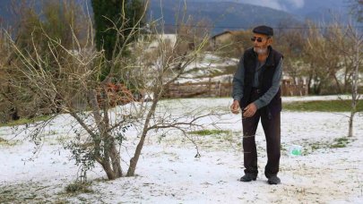 Dolu yağışının zarar verdiği sera ve zeytin bahçelerinde hasar tespit çalışması yapılıyor