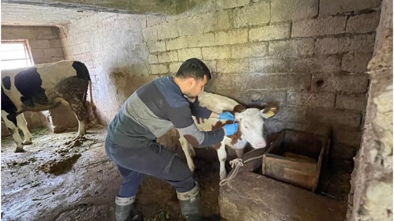 Gazipaşa’da gıda ve hayvan sağlığı denetimi