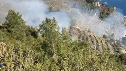 Gazipaşa’da muz bahçesindeki yangın makilik alana sıçradı