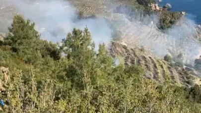 Gazipaşa’da muz bahçesindeki yangın makilik alana sıçradı