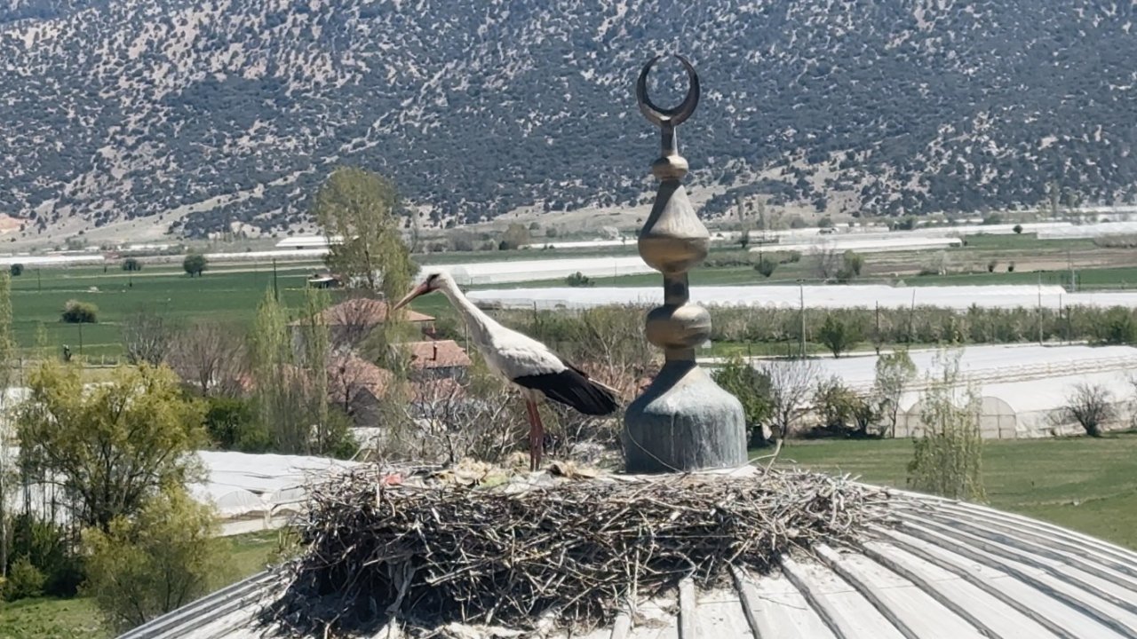 Her yıl aynı caminin kubbesine yuva yapan leylek cemaatin ilgi odağı oldu