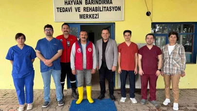 Kemer’de sokak hayvanlarına destek çağrısı