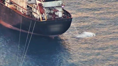 Antalya Körfezi'nde sintine atığı alarmı; kirlilik 3 kat arttı
