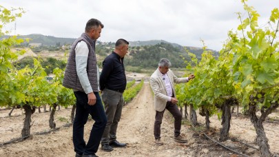 Mersin'de üreticilere damlama sulama sistemi anlatılıyor