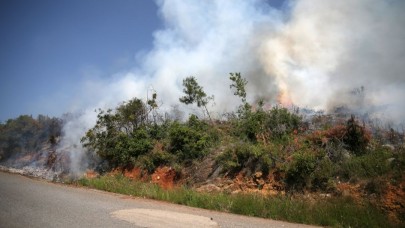 Alanya'da makilik yangını