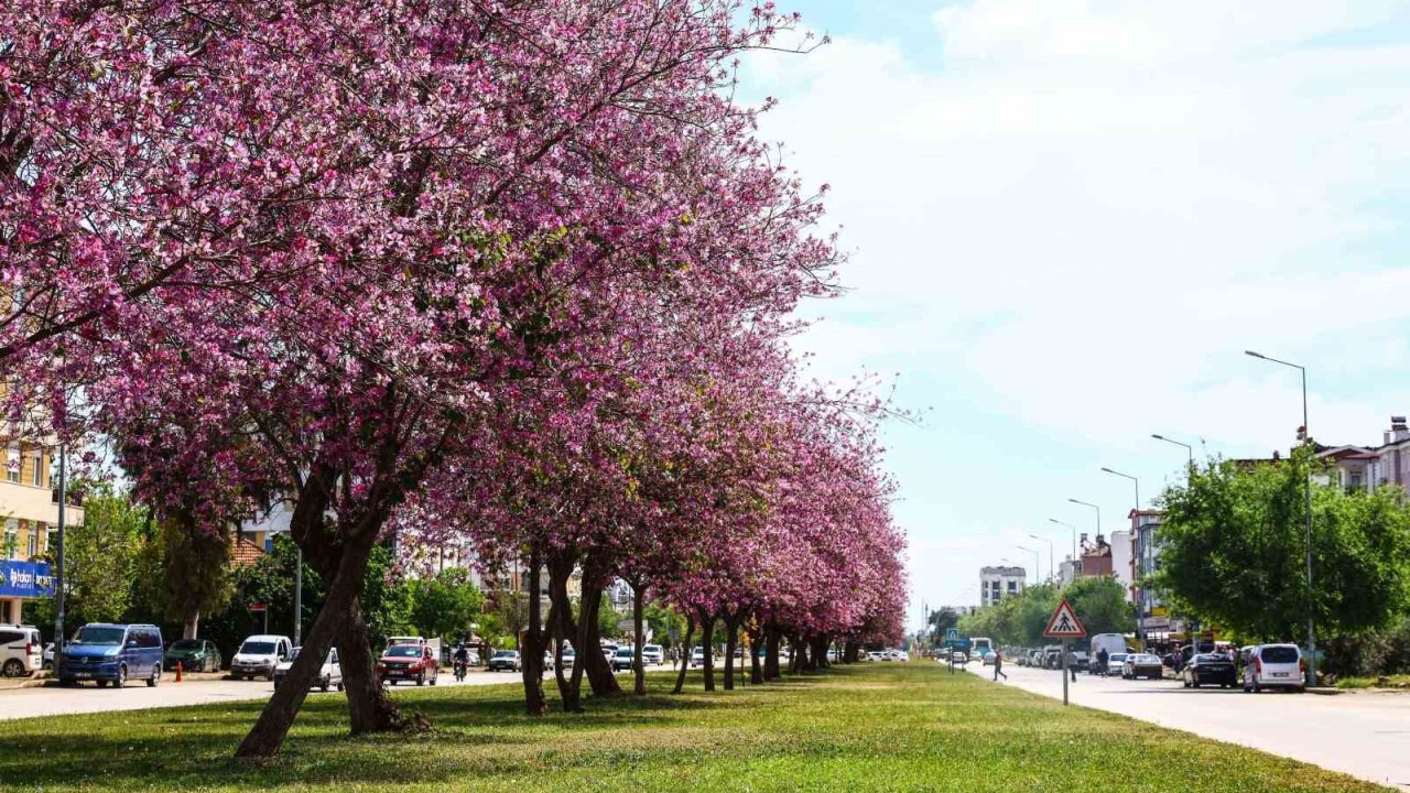 Antalya yaz renklerine bürünüyor