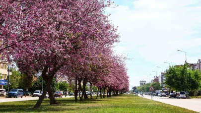 Antalya yaz renklerine bürünüyor