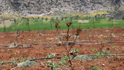 Antalya’da tarımsal sulama projeleriyle tersine göç hızlandı