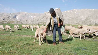 Antalya’da Yörüklerin yayla serüvenleri başladı