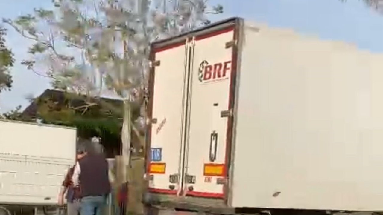 Gazipaşa’da sebze yüklü tır refüjdeki palmiye ağacına çarptı: 1 yaralı