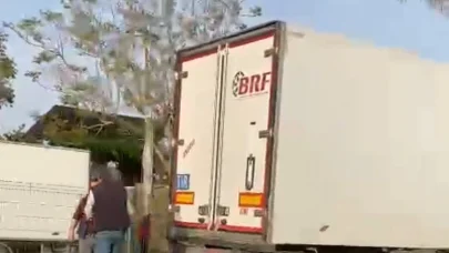 Gazipaşa’da sebze yüklü tır refüjdeki palmiye ağacına çarptı: 1 yaralı