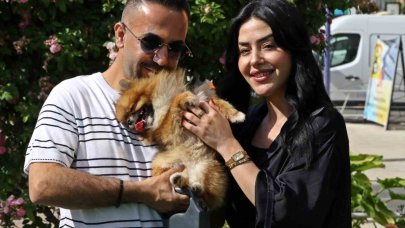 Güzellik yarışmasında birinci seçilip kaybolan köpek bulundu, sahipleri sevince boğuldu