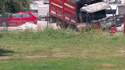 Kamyonette çıkıp çam ağacına sıçrayan yangın söndürüldü