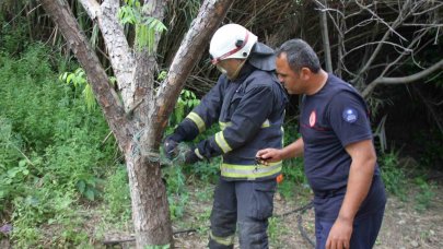 Serik’te ağlara dolanan yılanı itfaiye kurtardı