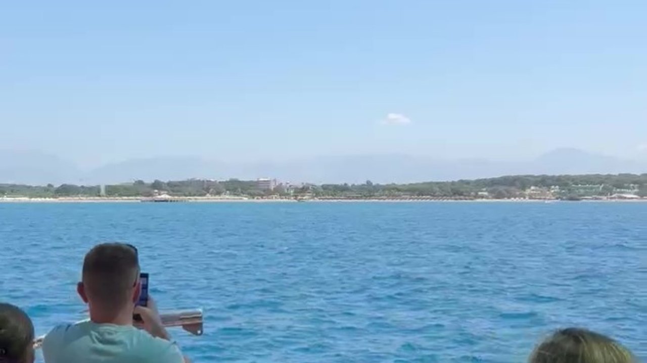 Side açıklarında Akdeniz foku görüntülendi, turistler hayretler içinde izledi