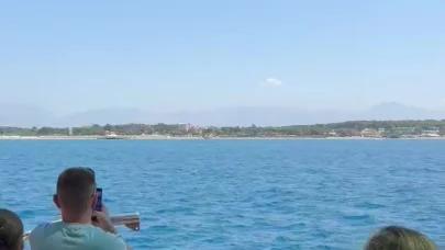 Side açıklarında Akdeniz foku görüntülendi, turistler hayretler içinde izledi