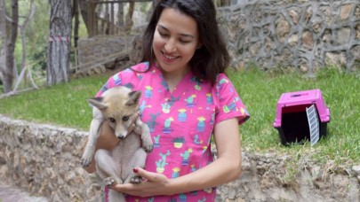 Hayvan kreşinde bakılan Venüs ve Latte büyüyor