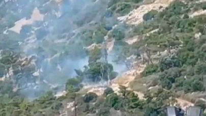 Antalya’da ormanlık alanda yangın