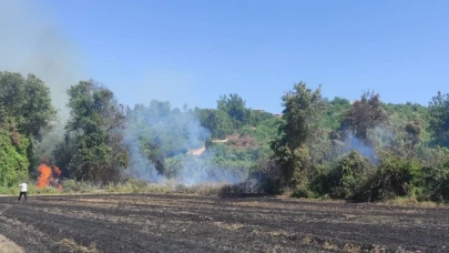 Antalya'da orman yangını