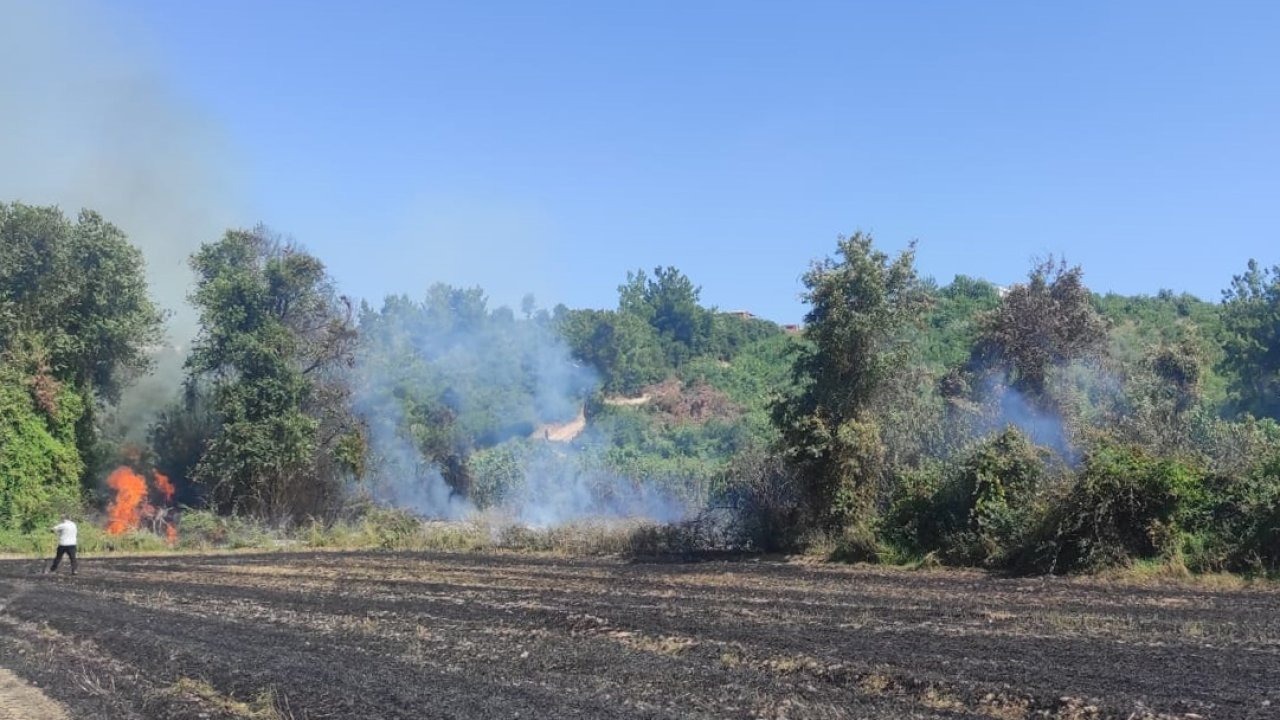 Antalya'da orman yangını