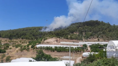 Antalya'da orman yangını