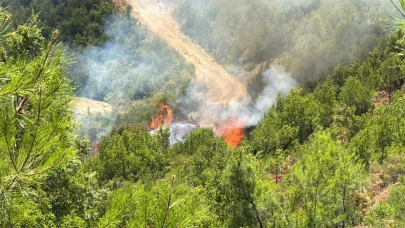 Antalya'nın 3 ilçesinde 5 noktada yangın; 4’ü kontrol altında, Alanya’da müdahale sürüyor