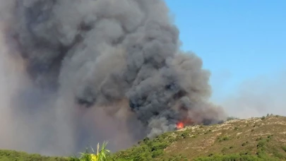 Antalya'da orman yangını