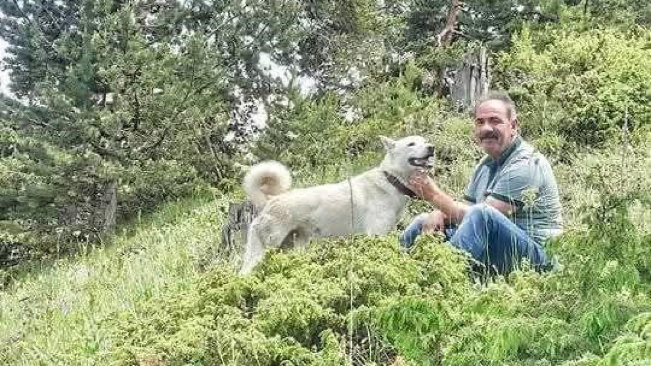 Alanya’da kamyon ile damper arasında sıkışan şoför hayatını kaybetti