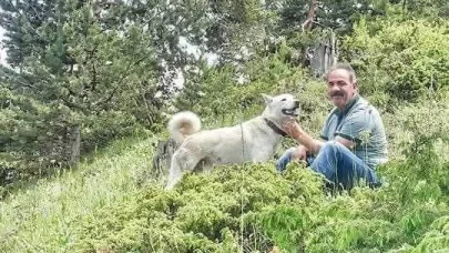 Alanya’da kamyon ile damper arasında sıkışan şoför hayatını kaybetti