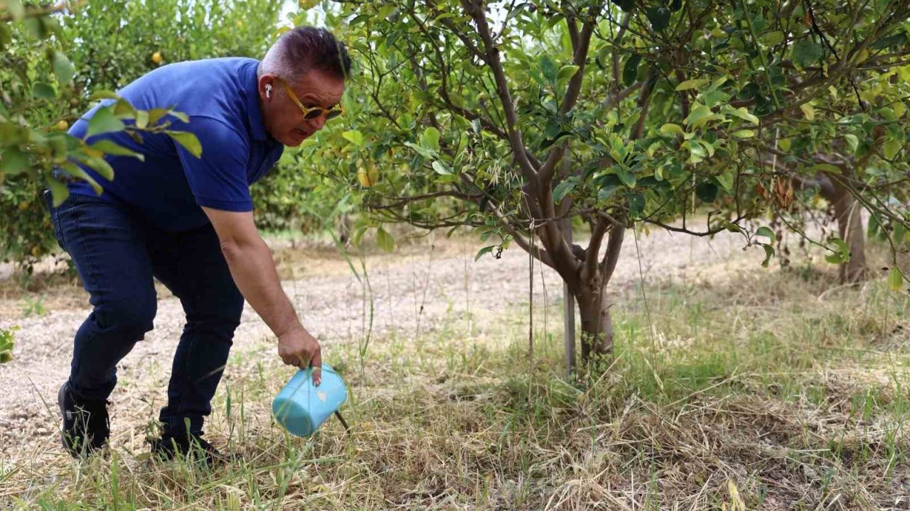 Antalya Büyükşehir Belediyesi, evsel atıklardan organik gübre üretti