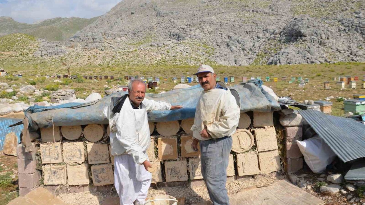 Antalya’da arıcılar kara kovanlarını yüksek kesimlerdeki yaylalara çıkardı