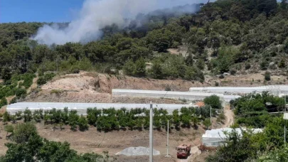 Antalya’da orman yangını