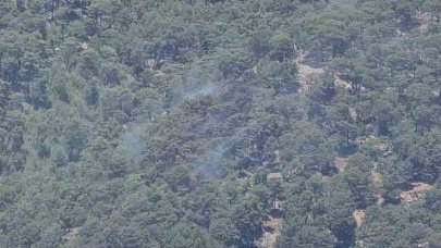 Antalya’daki orman yangını kontrol altına alındı